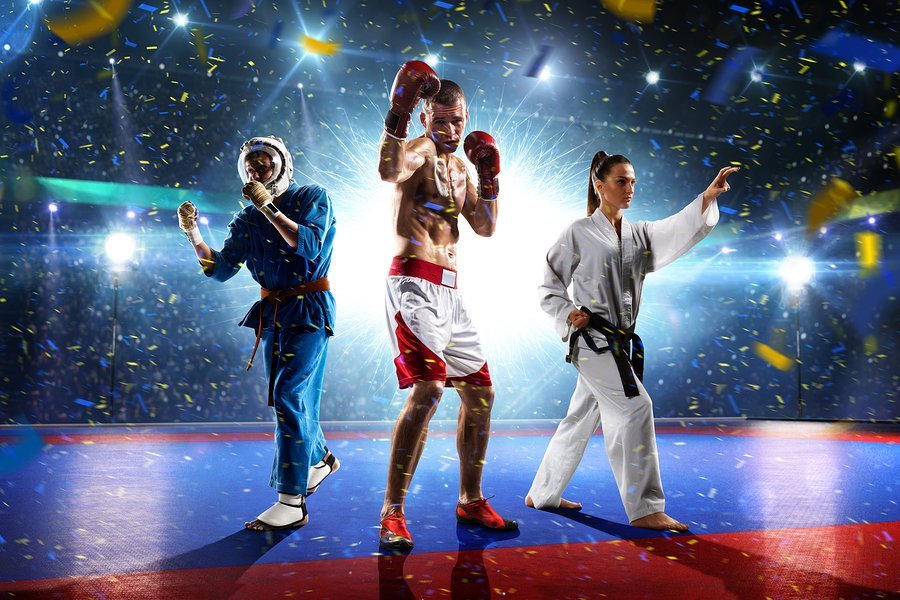 Multi sports boxing karate taekwondo collage on the grand court